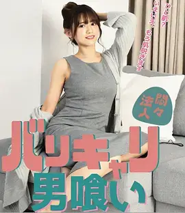 双城谜案 热播电视剧全集